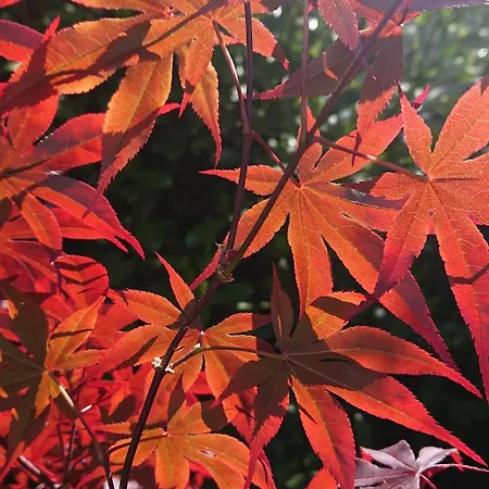 Gaestezimmer In Fachwerkhaus Проживание в семье *