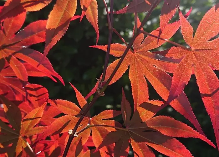 Gaestezimmer In Fachwerkhaus Проживание в семье *